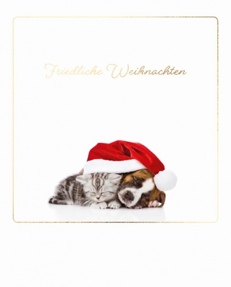 Postkarte: Friedliche Weihnachten - Hund und Katze