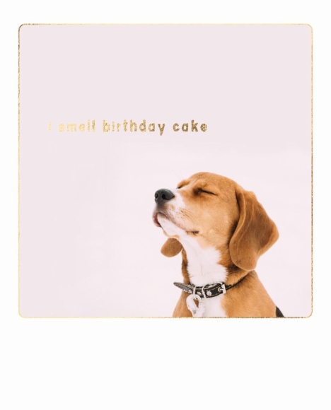 Postkarte: I smell birthday cake - Hund