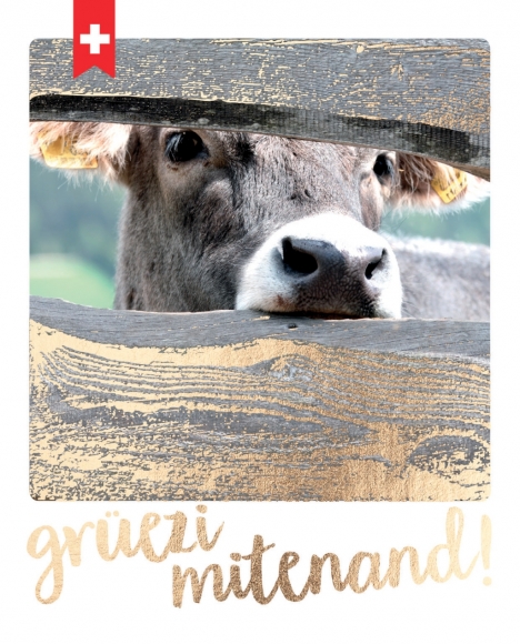 Postkarte: Grüezi mitenand! Kuh