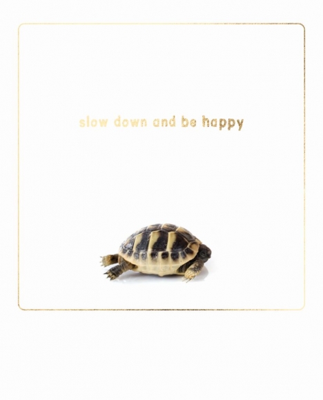 Postkarte: slow down and be happy - Schildkröte