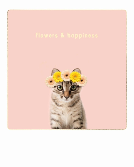 Postkarte: Flowers &amp; Happiness - Katze