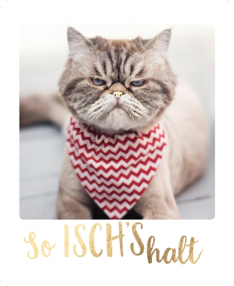 Postkarte: So isch&#039;s halt