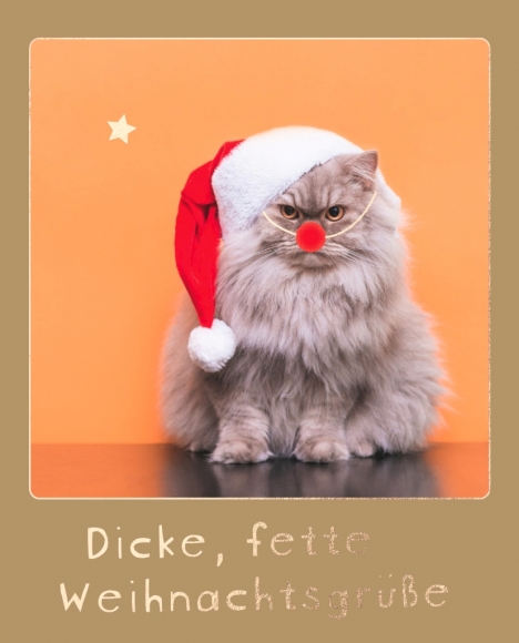 Postkarte: Perserkatze Dicke, fette Weihnachtsgrüße
