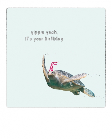 Postkarte: Schildkröte - yippie yeah, it`s your birthday