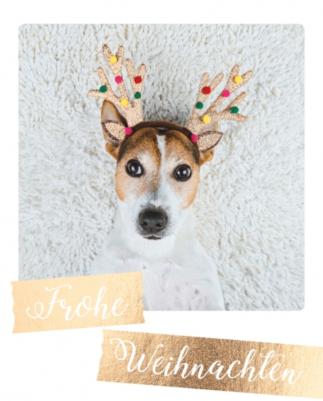 Postkarte: Frohe Weihnachten - Hund mit Geweih