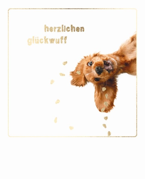 Postkarte: Herzlichen Glückwuff - Hund