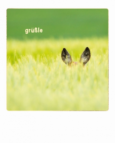 Postkarte: grüßle Reh