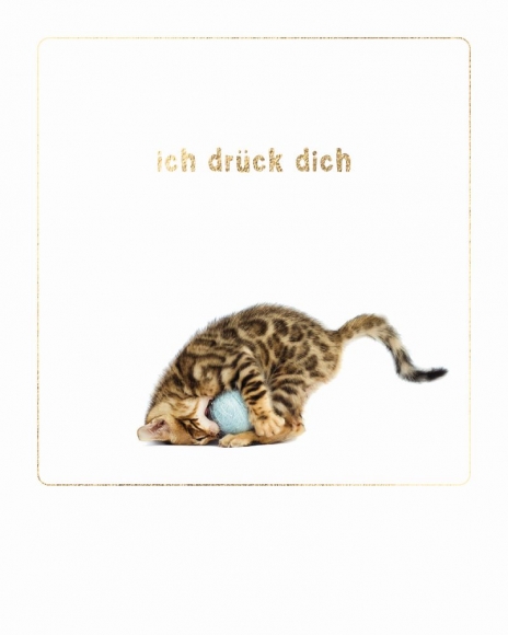 Mini-Postkarte: Ich drück dich Katze