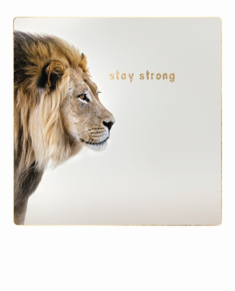 Postkarte: Stay strong - Löwe