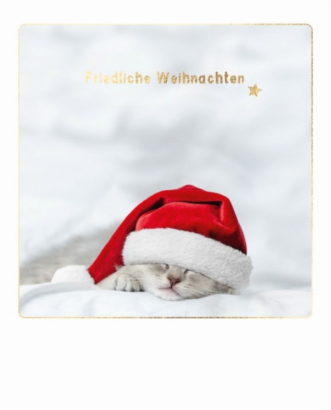 Postkarte: Friedliche Weihnachten Kätzchen