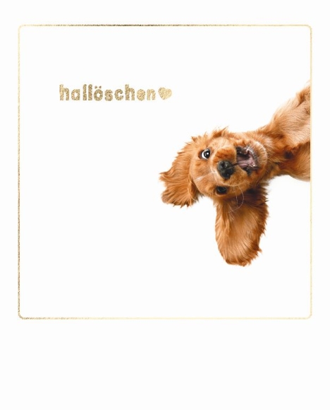 Postkarte: Hallöschen - Hund