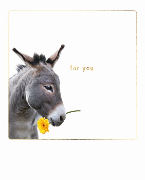 Postkarte: For you - Esel mit Blume