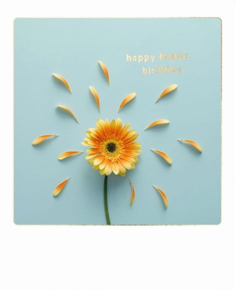Doppelkarte: Happy happy Birthday