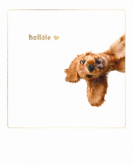 Postkarte: hallöle Hund